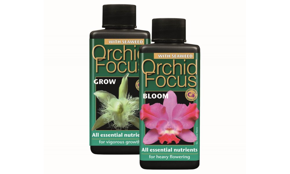 Kit Engrais Orchidées Floraline - 20 Bâtonnets + 3 Cures + Spray 250 Ml - Pour Floraison Longue Et Feuilles Brillantes